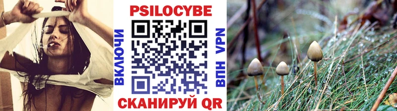 omg маркетплейс  Жигулёвск  Галлюциногенные грибы Psilocybe 